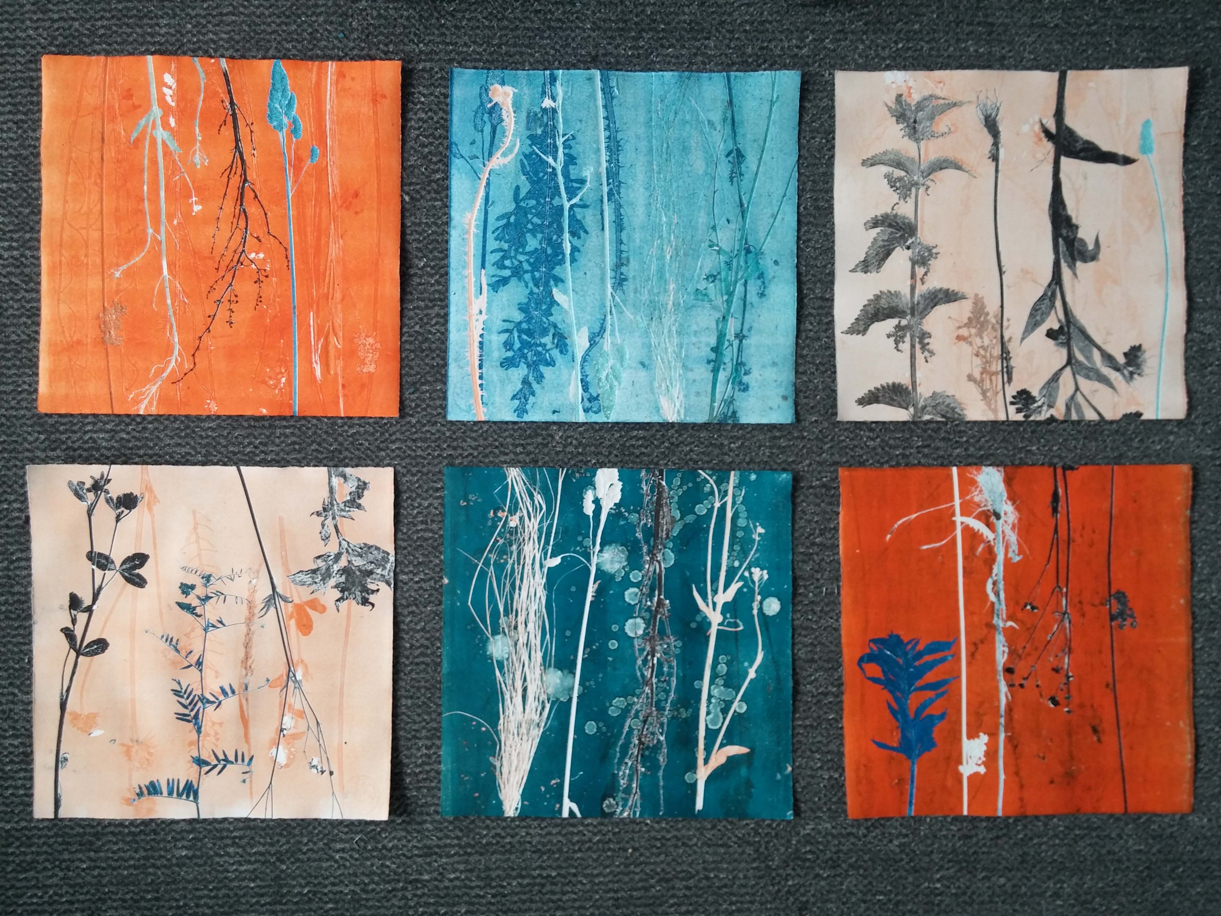 Herbarium